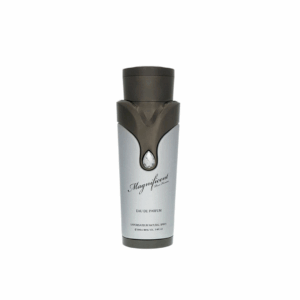 Perfume EDP Magnificent Masculino 100ML - Armaf